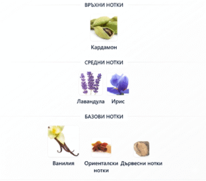 ароматни нотки на Le Male Le Parfum 75ml мъжки парфюм: кардамон, лавандула, ирис, ванилия, ориенталски нотки