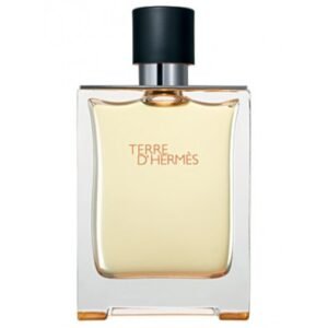 Hermes Terre D`hermes 100ml - мъжки тестер