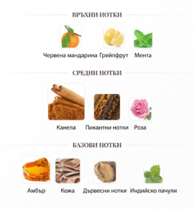 Мъжки парфюм Rabanne 1 Million ароматни нотки мандарина грейпфрут мента канела роза кехлибар кожа дървесни нотки пачули