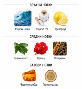 Съставки на парфюм Rabanne Invictus Legend: морски нотки морска сол грейпфрут лаври здравец подправки червен амбър гуаяково дърво