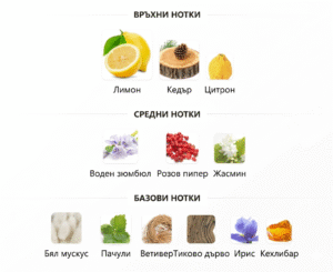 Дамски парфюм Chanel Chance Eau Fraiche ароматни нотки - лимон кедър цитрон зюмбюл розов пипер жасмин бял мускус пачули ветивер тиково дърво ирис кехлибар