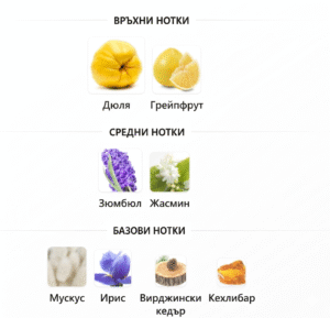 Дамски парфюм Chanel Chance Eau Tendre ароматни нотки айва грейпфрут зюмбюл жасмин мускус ирис вирджиния кедър кехлибар