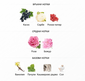 Дамски парфюм Rabanne Olympéa Flora ароматни нотки черна касис сорбе розов пипер роза божур ванилия пачули кашмирено дърво сол